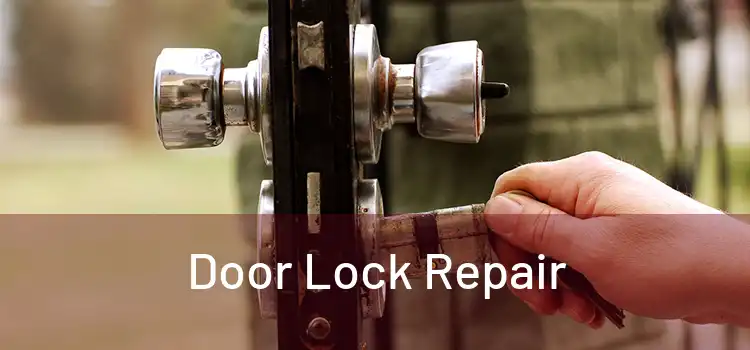 Door Lock Repair