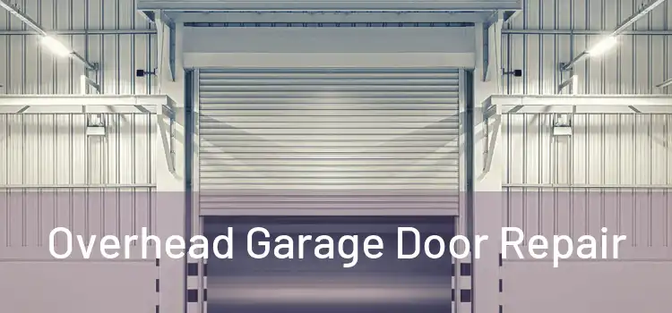  Overhead Garage Door Repair 